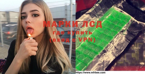 СК Алзамай