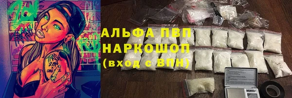 СК Алзамай