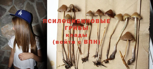 таблы Алексин