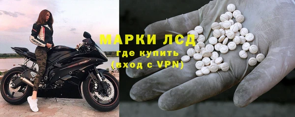 СК Алзамай