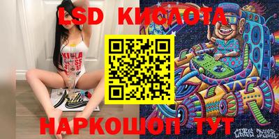 крисы Кинель