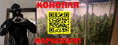 прущие крисы Кимры