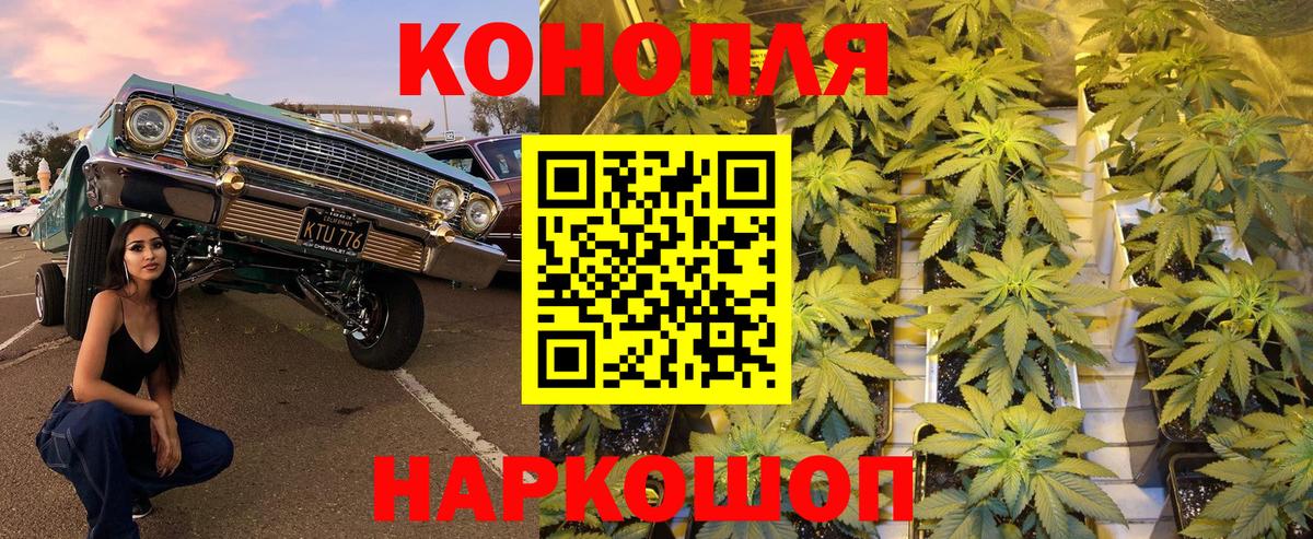 Конопля ГИДРОПОН Лянтор